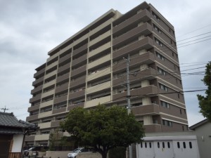 アルファステイツ平成